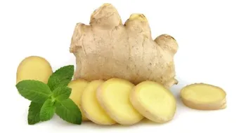 ما هي فوائد الزنجبيل