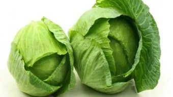 ما هي فوائد الملفوف الأخضر