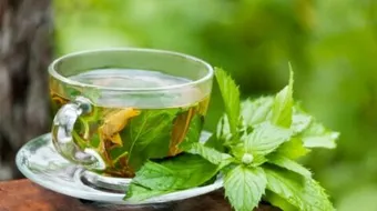 ما هي فوائد النعناع الأخضر