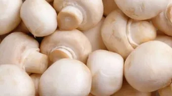 ما فوائد الفطر الهندي