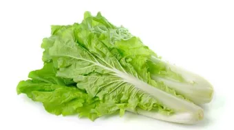 ما هي فوائد الخس