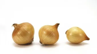 ما هو فوائد البصل