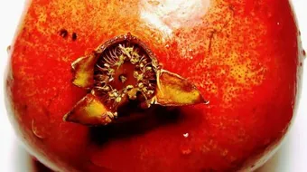 ماهي فوائد قشر الرمان