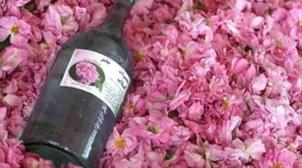 ما فوائد ماء الورد للشعر