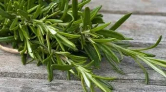 ما فوائد إكليل الجبل للشعر