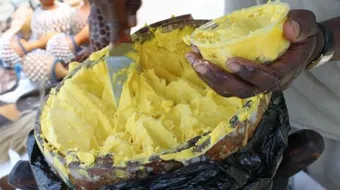 ما هي فوائد زبدة الشيا