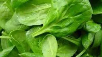 ما فوائد السبانخ