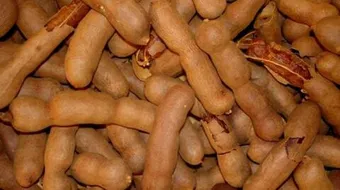 ما فوائد التمر الهندي