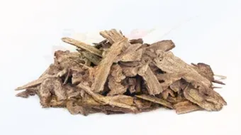 ما هي فوائد القسط الهندي للرجال