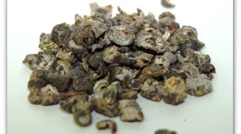 ما فوائد عشبة القرض