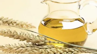 ما فوائد زيت جنين القمح
