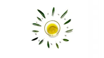 ما هي أفضل الزيوت لتساقط الشعر