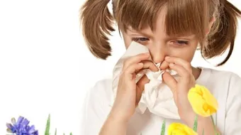 ما هي أسباب حساسية الأنف