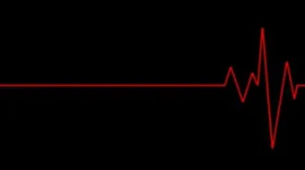 ما أسباب توقف نبض الجنين