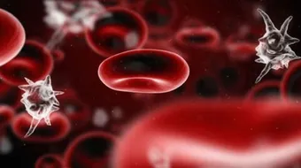 ما أسباب ارتفاع كريات الدم البيضاء