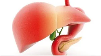 ما أسباب دهون الكبد