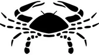 ما هى مواصفات برج السرطان