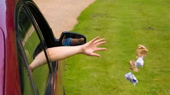 ما نتائج رمي المخلفات في الشارع