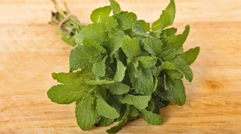 ما هي أضرار النعناع