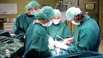 ما هي أمراض الجهاز التناسلي