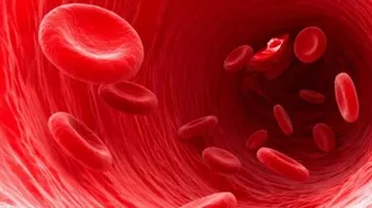 ما هي وظائف الدم