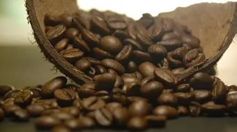 ما هي مضار القهوة