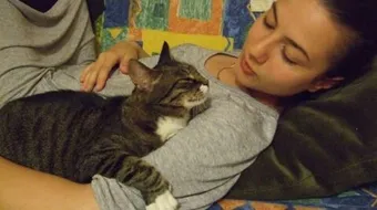 ما هي أضرار تربية القطط على البنات