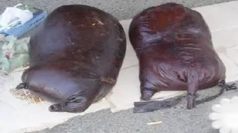 ما هي وسائل التبريد قديماً