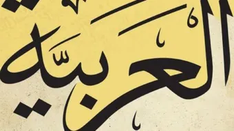 ما هي ادوات النصب