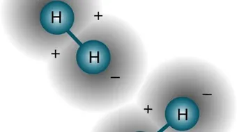 ما أكثر العناصر شيوعاً في الكون