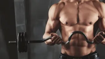 ما هي العضلات