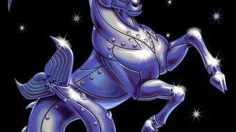 ما هي صفات برج الجدى