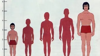 ما أسباب قصر القامة