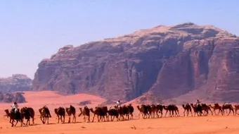 ما هي أسباب هجرة الرسول إلى يثرب