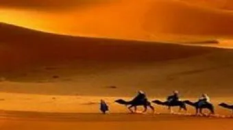 ما أسباب هجرة الرسول