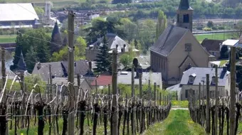 ما هي دول شنغن