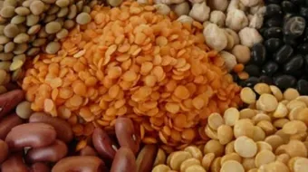 ما هي مصادر البروتينات