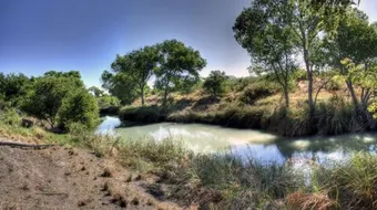 ما مصادر المياه في المملكة