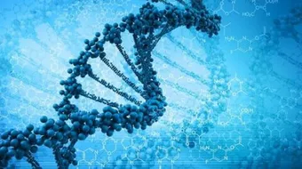 ما هي أعراض السيدا