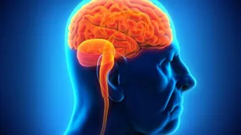 ما أعراض ورم المخ