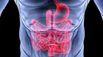 ما هي أعراض القولون