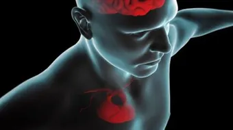 ما هي أعراض ثقب القلب