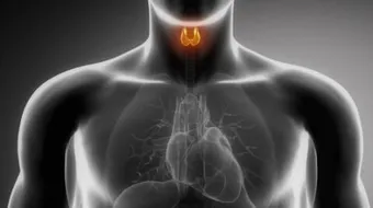 ما هي أعراض قصور الغدة الدرقية