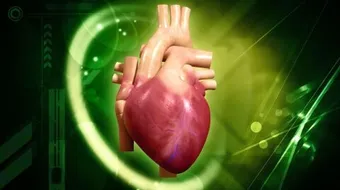 ما هي أعراض ضعف عضلة القلب