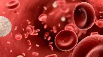 ما هي أعراض نقص كريات الدم البيضاء