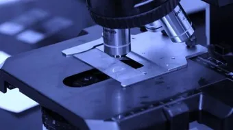 ما هي أنواع المجاهر وما استخداماتها