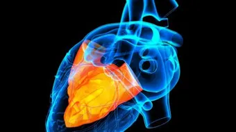 ما سبب دقات القلب السريعة