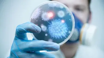 ما هي الأمراض التي تسببها البكتيريا