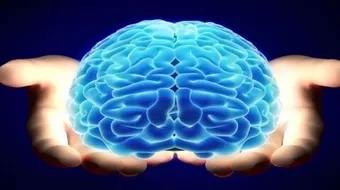 بماذا كرم الله الانسان