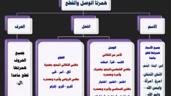 ما هي همزة الوصل وهمزة القطع